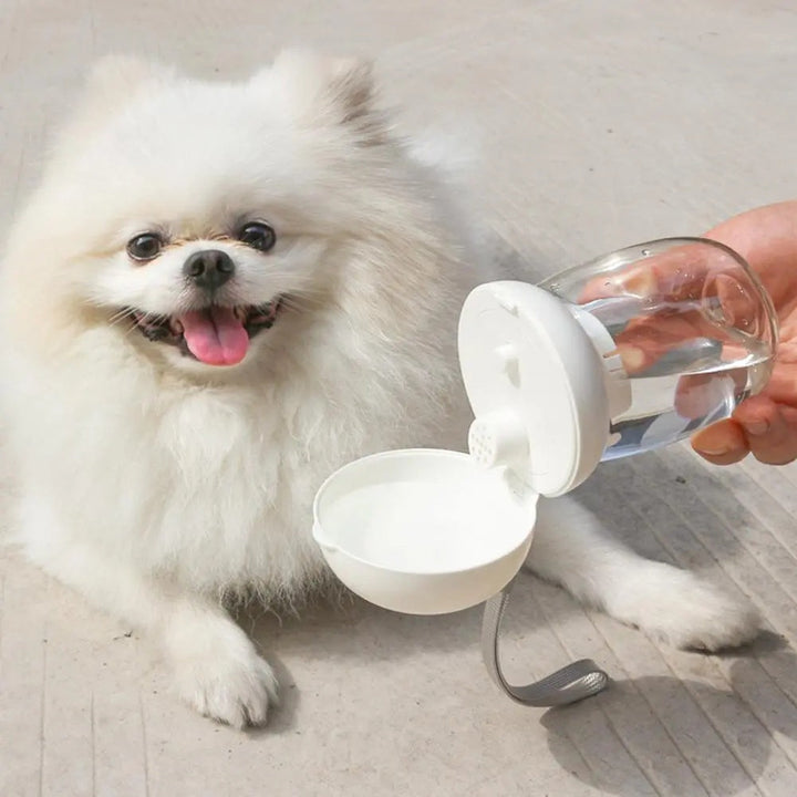 Stay Hydrated on the Go: The Portable Pet Water Bottle