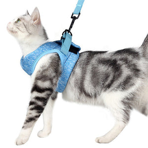 Discover the Comfort of Our Pet Breathable Lightweight Chest Harness With Leash