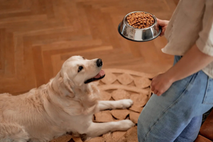 Simple Solutions For Better Mealtimes