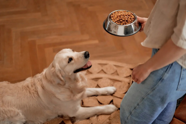 Simple Solutions For Better Mealtimes