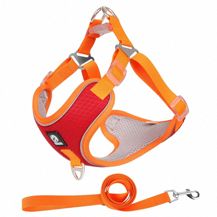Discover the Perfect Fit for Your Furry Friend!