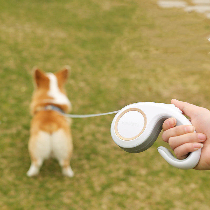 The Ultimate Pet Companion: Automatic Retractable Leash