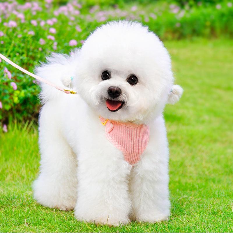 Enhance Your Outdoor Adventures with Our Pet Adjustable Harness and Leash